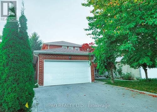 60 Lund Street, Richmond Hill (North Richvale), ON - Outdoor