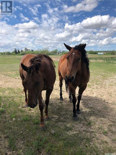 500 Main Street N, Kelliher, SK - Outdoor With View