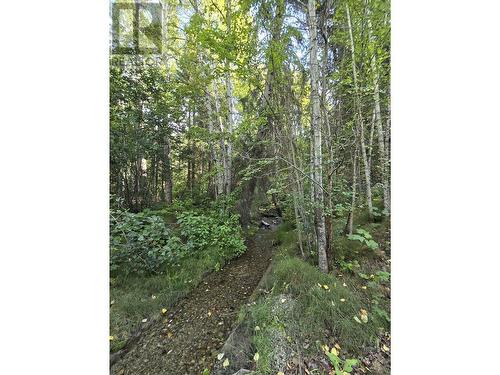 11328 E 16 Highway, Valemount, BC 