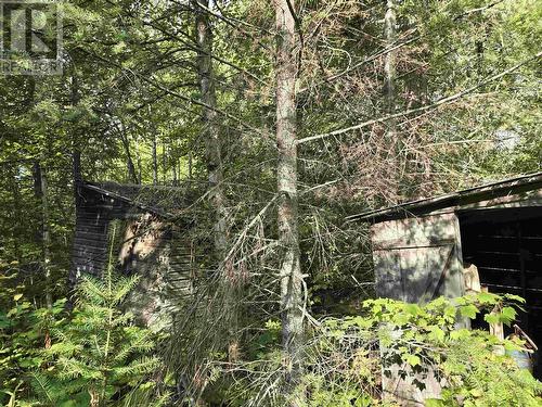 11328 E 16 Highway, Valemount, BC 