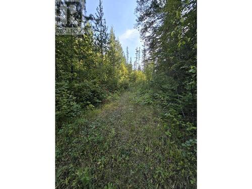 11328 E 16 Highway, Valemount, BC 