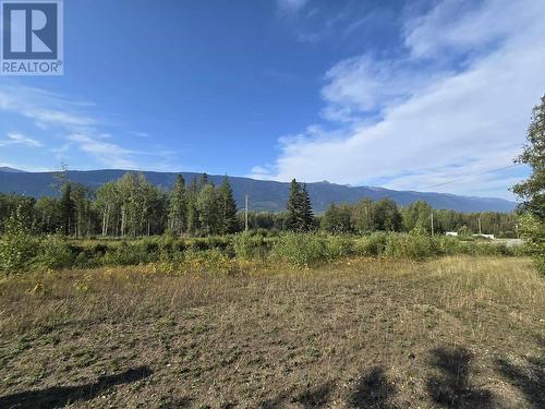 11328 E 16 Highway, Valemount, BC 