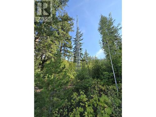 11328 E 16 Highway, Valemount, BC 