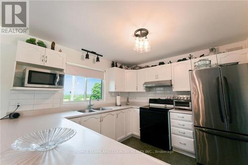 505 Scotch Line Road, Kawartha Lakes (Dunsford), ON - Indoor Photo Showing Kitchen With Double Sink