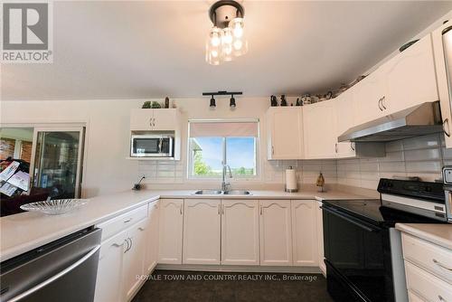 505 Scotch Line Road, Kawartha Lakes (Dunsford), ON - Indoor Photo Showing Kitchen With Double Sink