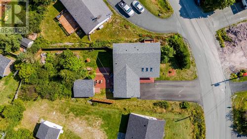 101 Motion Bay Road, Maddox Cove Petty Harbour, NL - Outdoor With View