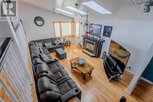 101 Motion Bay Road, Maddox Cove Petty Harbour, NL - Indoor Photo Showing Living Room With Fireplace