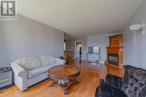 77 Almond Crescent, Stj, NL - Indoor Photo Showing Living Room With Fireplace