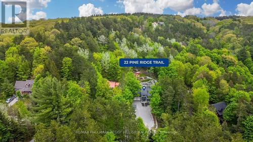 22 Pine Ridge Trail, Oro-Medonte (Horseshoe Valley), ON - Outdoor With View