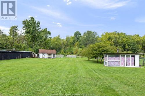 4033 Howard, Windsor, ON - Outdoor With Backyard