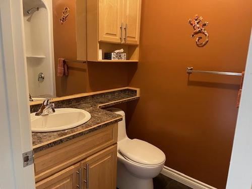 1102 Gorevale Road, Rural Thunder Bay, ON - Indoor Photo Showing Bathroom