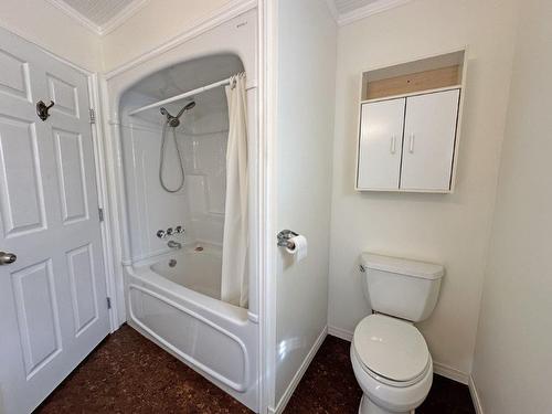 101 Churchill Street, Nipigon, ON - Indoor Photo Showing Bathroom