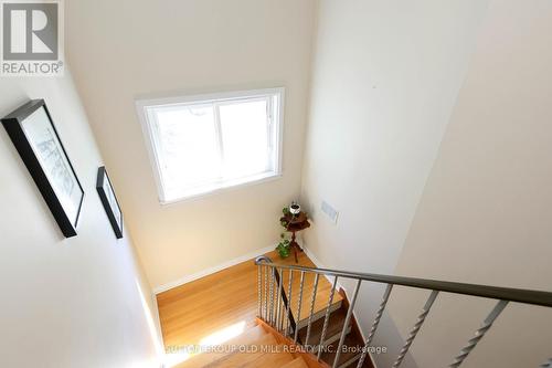 14 Louisa Street, Toronto (Mimico), ON - Indoor Photo Showing Other Room