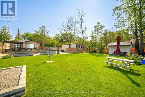 28 Eldonia Road, Kawartha Lakes, ON - Outdoor With Backyard