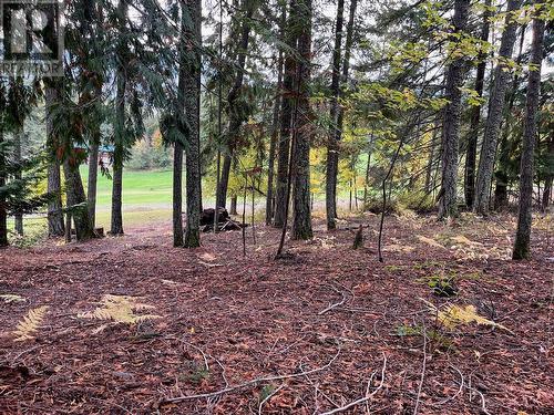 Lot 138 Columbia Drive, Anglemont, BC 