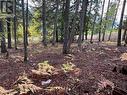 Lot 138 Columbia Drive, Anglemont, BC 