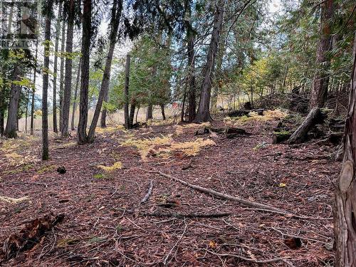 Lot 138 Columbia Drive, Anglemont, BC 