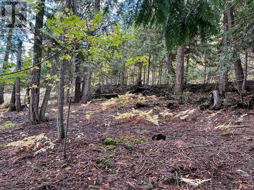 Lot 138 Columbia Drive, Anglemont, BC 