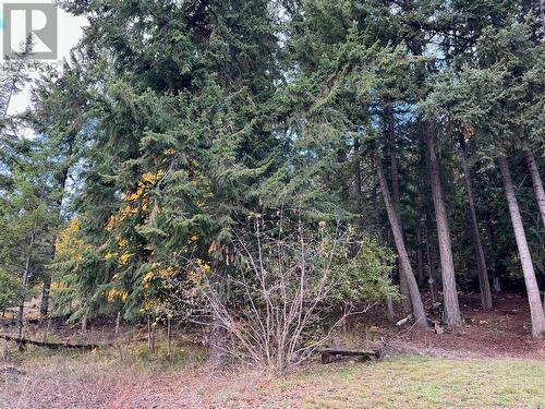 Lot 138 Columbia Drive, Anglemont, BC 