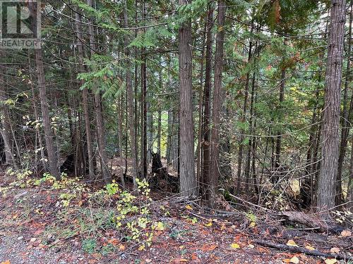 Lot 138 Columbia Drive, Anglemont, BC 