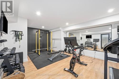 22111 Valleyview Road, Thames Centre (Thorndale), ON - Indoor Photo Showing Gym Room