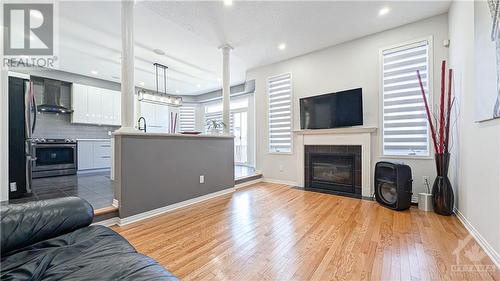 119 Macara Crescent, Ottawa, ON - Indoor Photo Showing Living Room With Fireplace