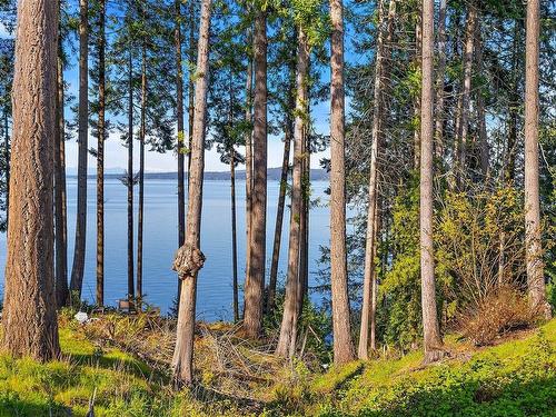 Lot 14 Dogwood Rd, Chemainus, BC 