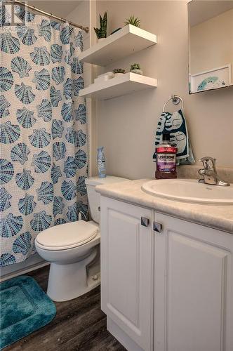 726 Barrydowne Road, Greater Sudbury, ON - Indoor Photo Showing Bathroom