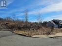 66 Dolly Drive, Saint John, NB 