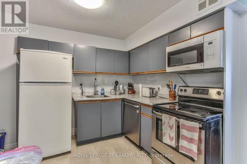 313 - 9 Jacksway Crescent, London, ON - Indoor Photo Showing Kitchen