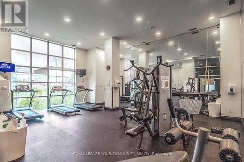 608 - 125 Western Battery Road, Toronto (Niagara), ON - Indoor Photo Showing Gym Room