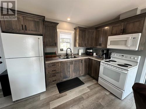 15 Pauls Lake, Badger, NL - Indoor Photo Showing Kitchen With Double Sink