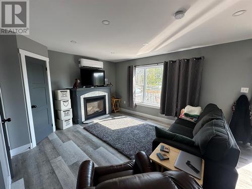 15 Pauls Lake, Badger, NL - Indoor Photo Showing Living Room With Fireplace