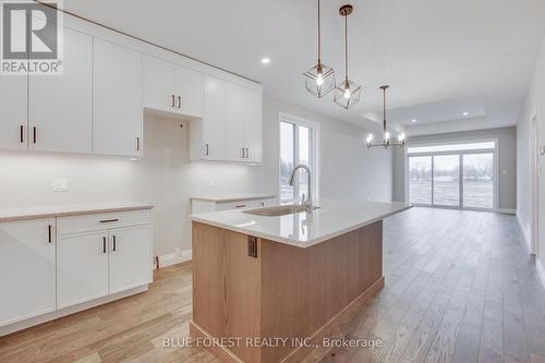 140 Shirley Street, Thames Centre (Thorndale), ON - Indoor Photo Showing Kitchen With Upgraded Kitchen