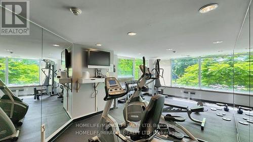 Ph311 - 18 Valley Woods Road, Toronto (Parkwoods-Donalda), ON - Indoor Photo Showing Gym Room