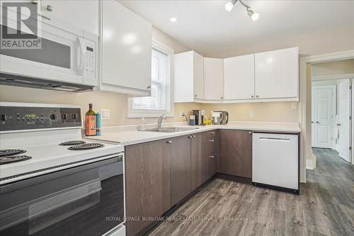 38 Viewpoint Avenue, Hamilton (Eastmount), ON - Indoor Photo Showing Kitchen With Double Sink