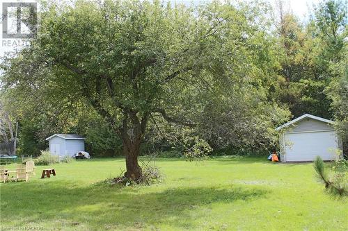 Back Yard View - 208 Pellisier Street, Eugenia, ON - Outdoor