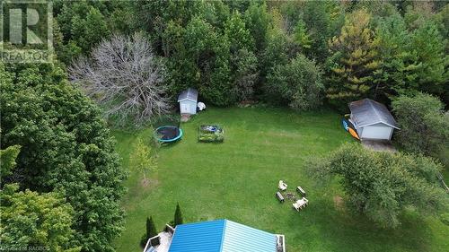 Overview Backyard - 208 Pellisier Street, Eugenia, ON - Outdoor