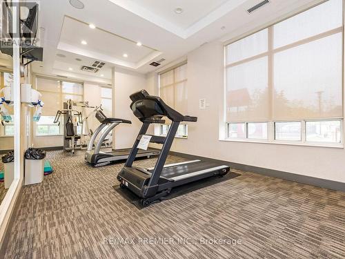 113 - 55 Strathaven Drive, Mississauga, ON - Indoor Photo Showing Gym Room