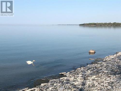 329 Lakeshore Road, Brighton, ON - Outdoor With Body Of Water With View