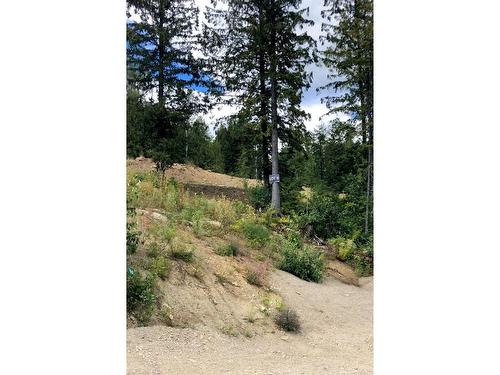 302 Ridge Road, Rossland, BC 