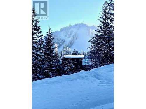 308 Ridge Road, Rossland, BC 