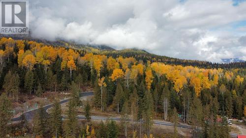 308 Ridge Road, Rossland, BC 