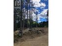 312 Ridge Road, Rossland, BC 