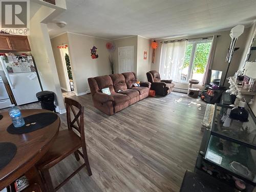 20 Fourth Street, Mt. Pearl, NL - Indoor Photo Showing Living Room