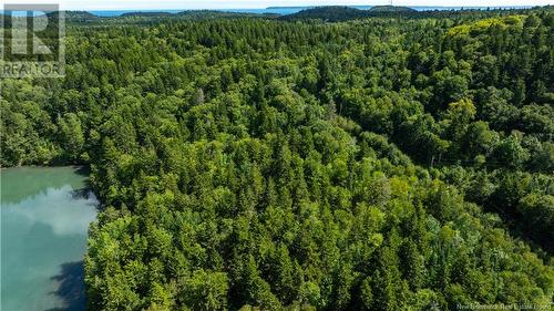 Lot 85-55 Bayview Drive, Campobello Island, NB 