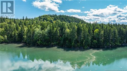 Lot 85-55 Bayview Drive, Campobello Island, NB 