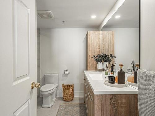 Ensuite bathroom - 4315-252 Ch. Du Lac-Millette, Saint-Sauveur, QC - Indoor Photo Showing Bathroom