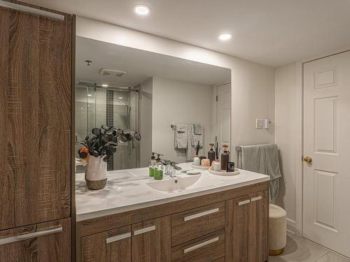 Ensuite bathroom - 4315-252 Ch. Du Lac-Millette, Saint-Sauveur, QC - Indoor Photo Showing Bathroom