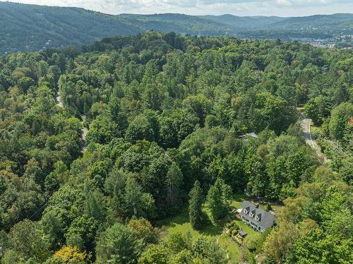 Aerial photo - 258 Ch. Du Bois, Piedmont, QC - Outdoor With View